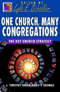 One Church, Many Congregations: the Key Church Strategy (Ministry for the Third Millennium Series)