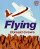 Flying: a Bright and Colorful Picture Book About a Plane Journey for Children (Ages 4-8)