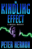 The Kindling Effect: a Medical Thriller