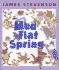 Mud Flat Spring