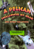 A Pelican Swallowed My Head: and Other Zoo Stories