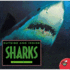 Outside and Inside Sharks (Outside Inside)