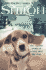 Shiloh