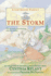 The Storm