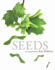 Seeds