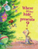 Where Did They Hide My Presents? : Where Did They Hide My Presents?
