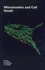 Mitochondria and Cell Death