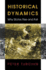 Historical Dynamics-Why States Rise and Fall: 8 (Princeton Studies in Complexity)
