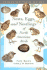Nests, Eggs, and Nestlings of North American Birds: Second Edition (Princeton Field Guides)