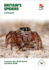 Britain's Spiders: a Field Guide (Wildguides of Britain & Europe)