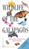 Wildlife of the Gal�pagos: Second Edition (Princeton Pocket Guides)