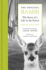 The Original Bambi: the Story of a Life in the Forest