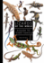 Lizards of the World: a Guide to Every Family