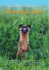 San Diego County Mammal Atlas