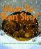 Where Do Bears Sleep?