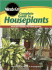 Complete Guide to Houseplants