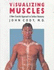 Visualizing Muscles: a New E�Corche� Approach to Surface Anatomy