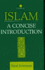 Islam: a Concise Introduction