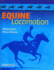 Equine Locomotion