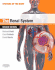 The Renal System: Basic Science and Clinical Conditions