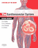 The Cardiovascular System: Basic Science and Clinical Conditions (2nd Edn) (Systems of the Body)