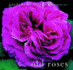 Old Roses