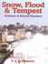 Snow, Flood and Tempest: Railways and Natural Disasters