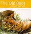 The Old Boot (Ecology Story Books)