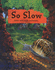 So-O-O-O Slow