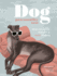The Dog Pawsonality Test: What Our Canine Friends Are Really Thinking
