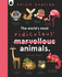 The Worlds Most Ridiculous Animals (2)