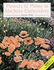 Flowers and Plants in Machine Embroidery