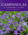 Campanulas