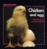 Chicken and Egg (Stopwatch)