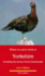 Where to Watch Birds in Yorkshire: Including the Former North Humberside (Where to Watch Birds)