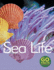 Sea Life Format: Paperback