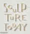 Sculpture Today (Arte) Judith Collins