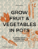 Grow Fruit & Vegetables in Pots: Planting Advice & Recipes From Great Dixter