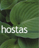 Hostas: the Complete Guide
