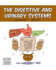 The Digestive and Urinary Systems 3 Building Blocks of Life Science 1soft Cover