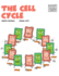 The Cell Cycle 4 Building Blocks of Life Science 2hardcover