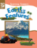 Earth's Features 3 Learning Ladders 2hardcover