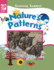 Nature's Patterns