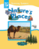 Nature's Places