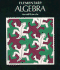 Elementary Algebra