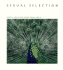 Sexual Selection (Scientific American Library)