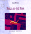 Drugs and the Brain (Scientific American Library Series)