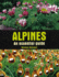 Alpines: An essential guide