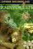 Rainforests (Explorer Plus, Ladybird)