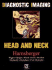 Diagnostic Imaging: Head and Neck